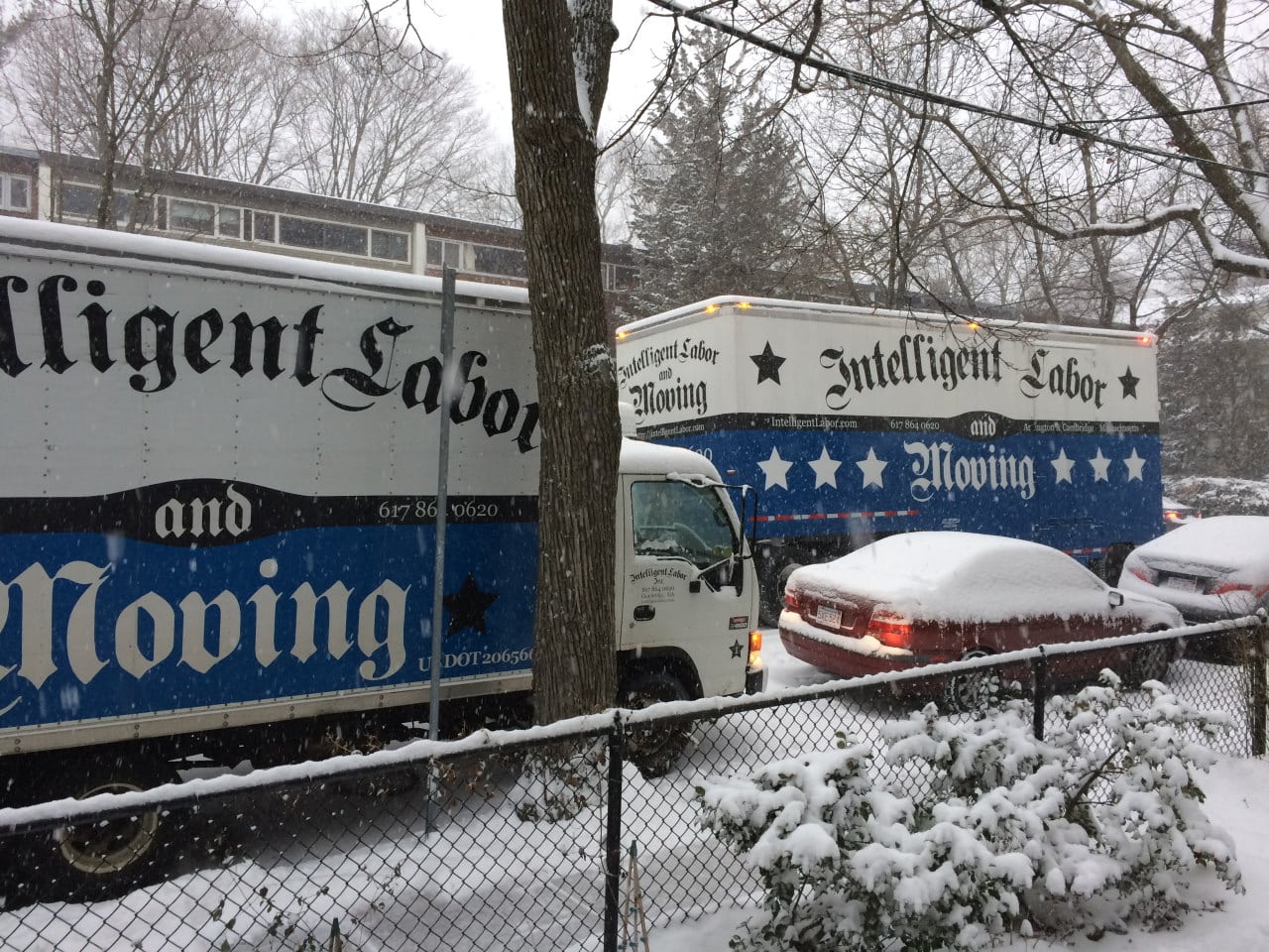 Moving in Watertown MA